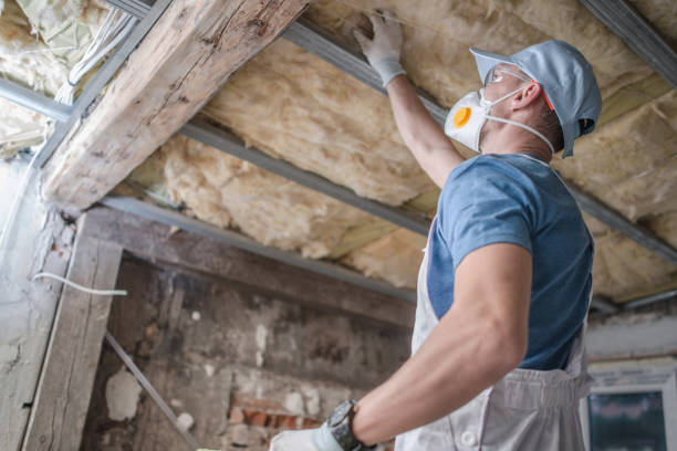 Best Cellulose Insulation  in Denmark, SC
