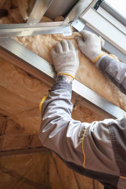 Best Insulation for Commercial Buildings  in Denmark, SC