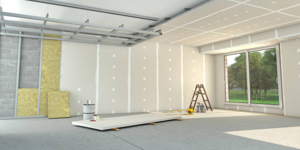 Best Insulation Repair Services  in Denmark, SC