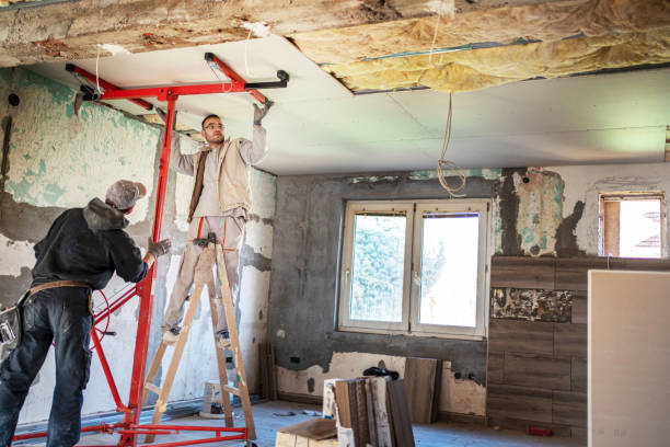 Best Professional Insulation Contractor  in Denmark, SC