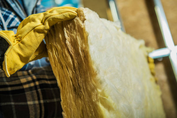 Best Best Insulation Companies  in Denmark, SC