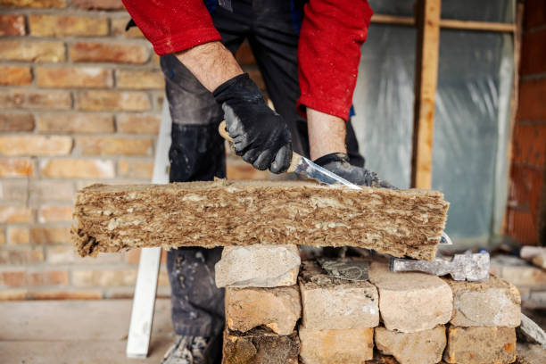 Best Blown-in Insulation  in Denmark, SC