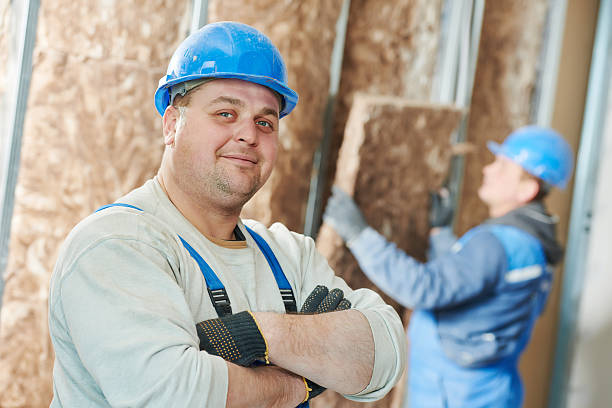 Best Insulation Inspection Services  in Denmark, SC