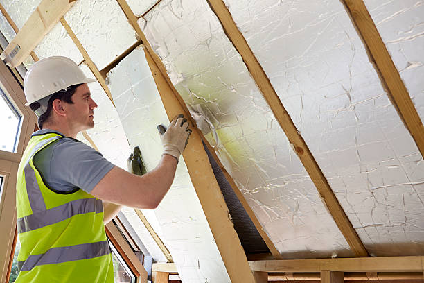 Best Spray Foam Insulation  in Denmark, SC